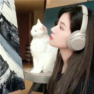 玻璃花与毁坏的世界